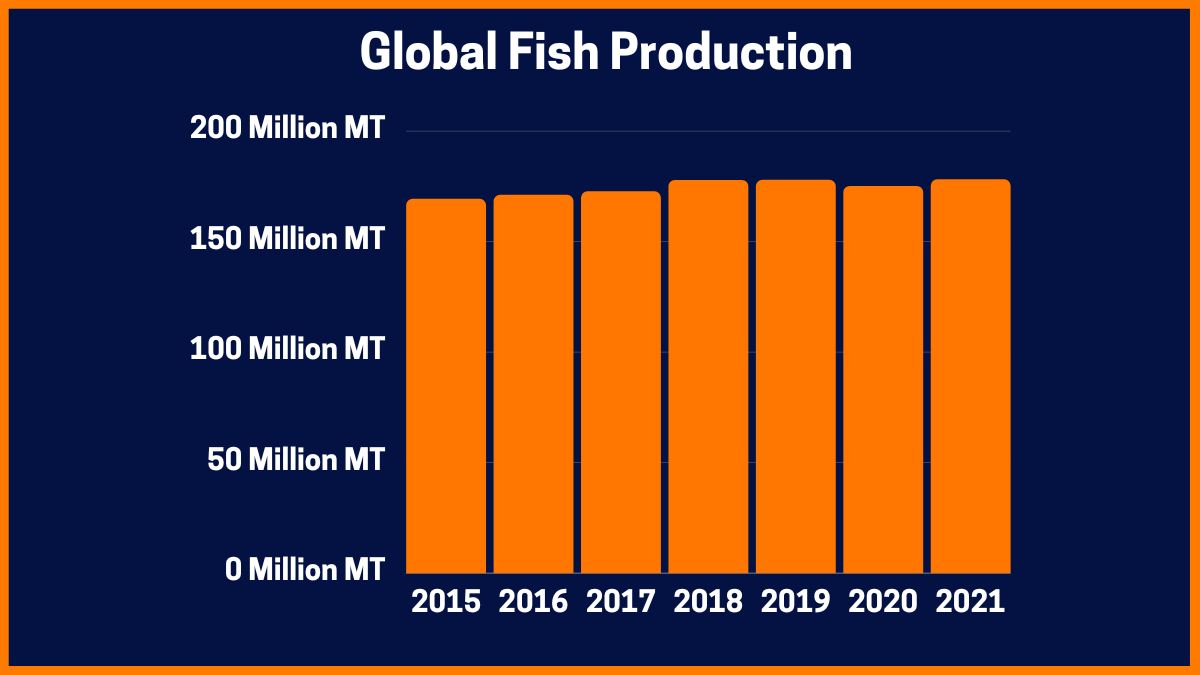 الإنتاج السمكي العالمي